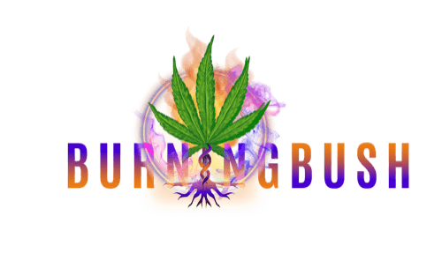 Burning Bush logo