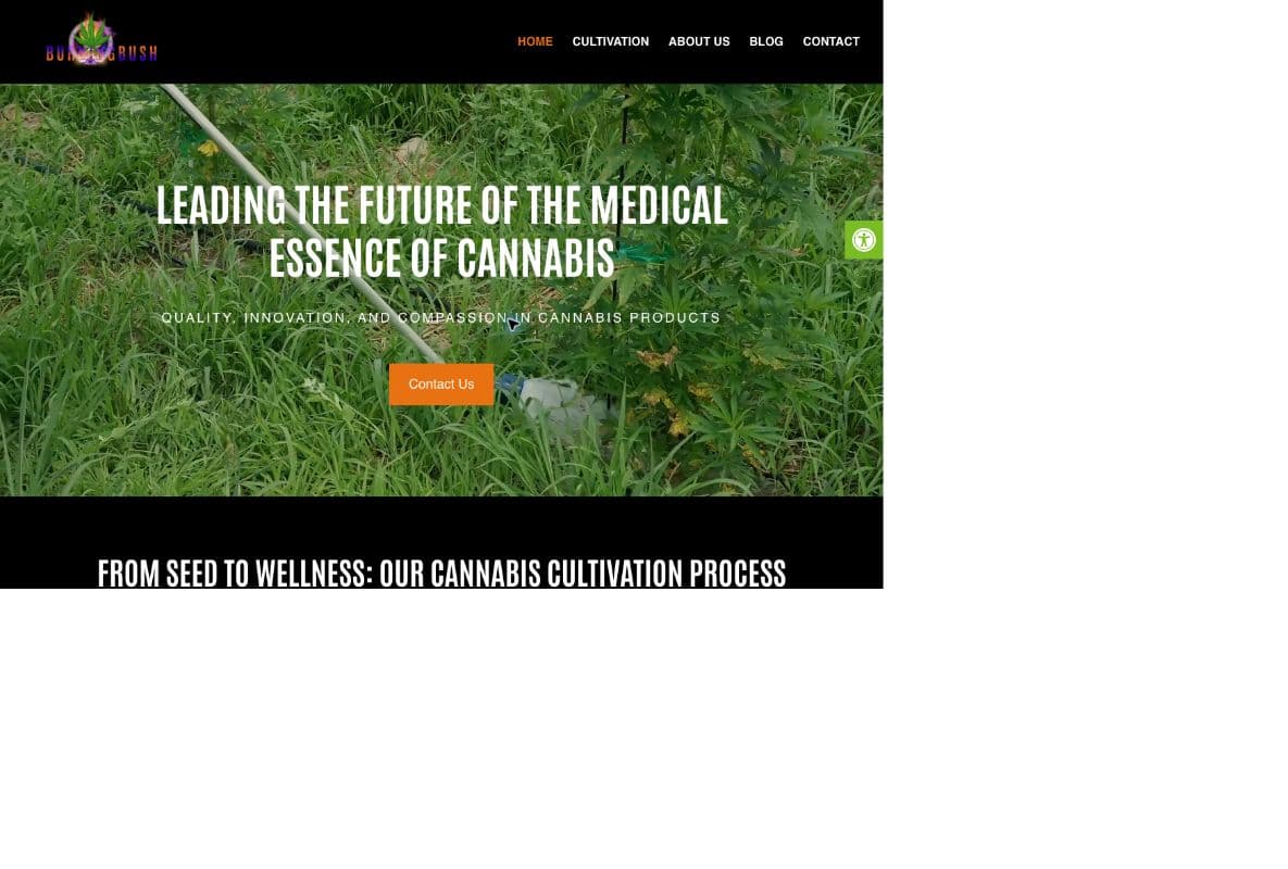 Burning Bush website homepage