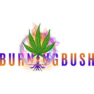 Burning Bush